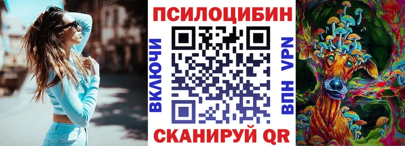 Галлюциногенные грибы Cubensis  МЕГА как войти  Нерюнгри 
