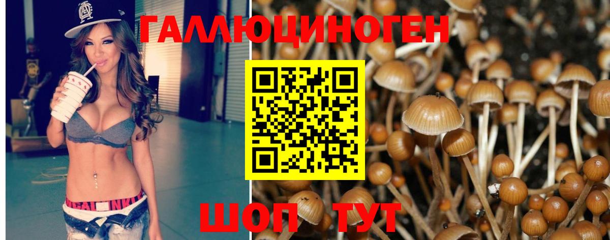 Нерюнгри  Галлюциногенные грибы Magic Shrooms  Вход с VPN 